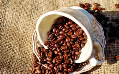 Arabika vs. robusta: jaký je rozdíl?